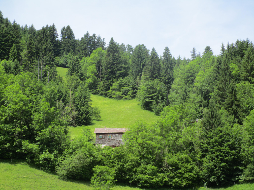 IMG_8523.JPG
