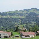 IMG_8509.JPG