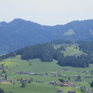 IMG_8511.JPG