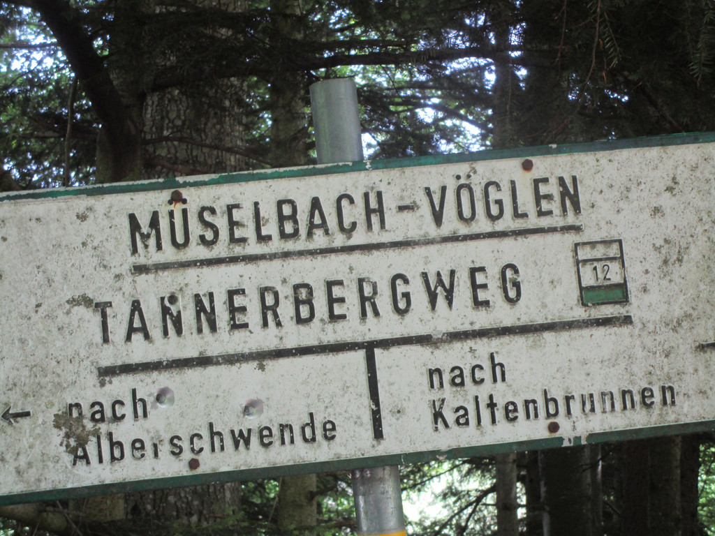 IMG_8529.JPG