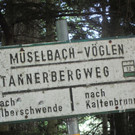 IMG_8529.JPG