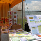 Kunstmarkt am Kaiserstrand Symbolfotos 2017 _9_.JPG