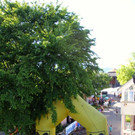 IMG_1709.jpg