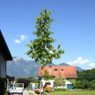 BK_Plant-for-the-Planet-Akademie 7.jpg