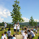 BK_Plant-for-the-Planet-Akademie 18.jpg
