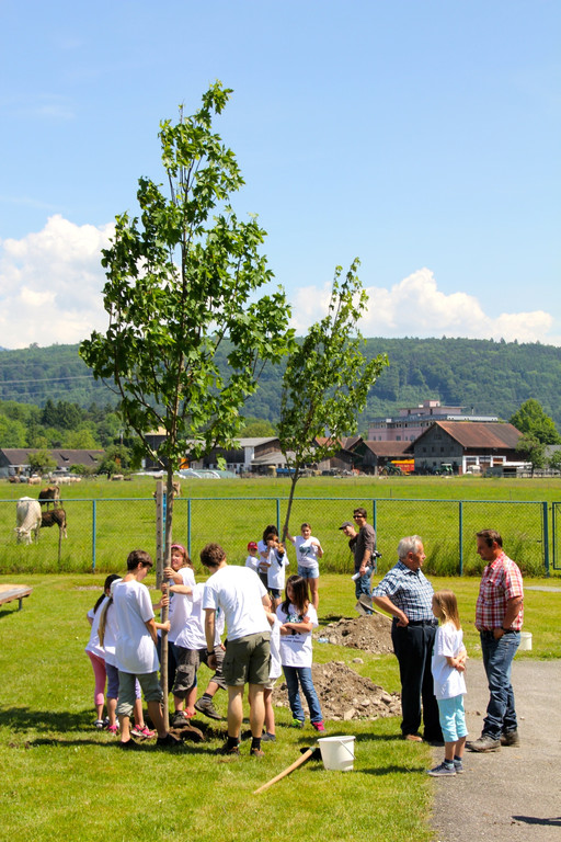 BK_Plant-for-the-Planet-Akademie 25.jpg