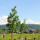 BK_Plant-for-the-Planet-Akademie 25.jpg