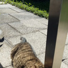 IMG-20160730-WA0005.jpg