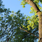 IMG_2511.JPG