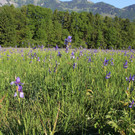 IMG_2533.JPG