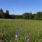 IMG_2540.JPG