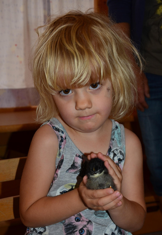 Kindergarten Batschuns 090617_2.JPG