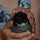 Kindergarten Batschuns 090617_6.JPG