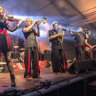 Bunt im Waldfest
