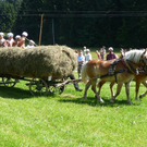 Rösslerfest Möggers