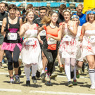 X cross run Wien 2017 - Krieau und Wiener Prater - 10_06_2017-11.jpg