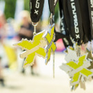 X cross run Wien 2017 - Krieau und Wiener Prater - 10_06_2017-43.jpg