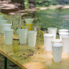 X cross run Wien 2017 - Krieau und Wiener Prater - 10_06_2017-150.jpg