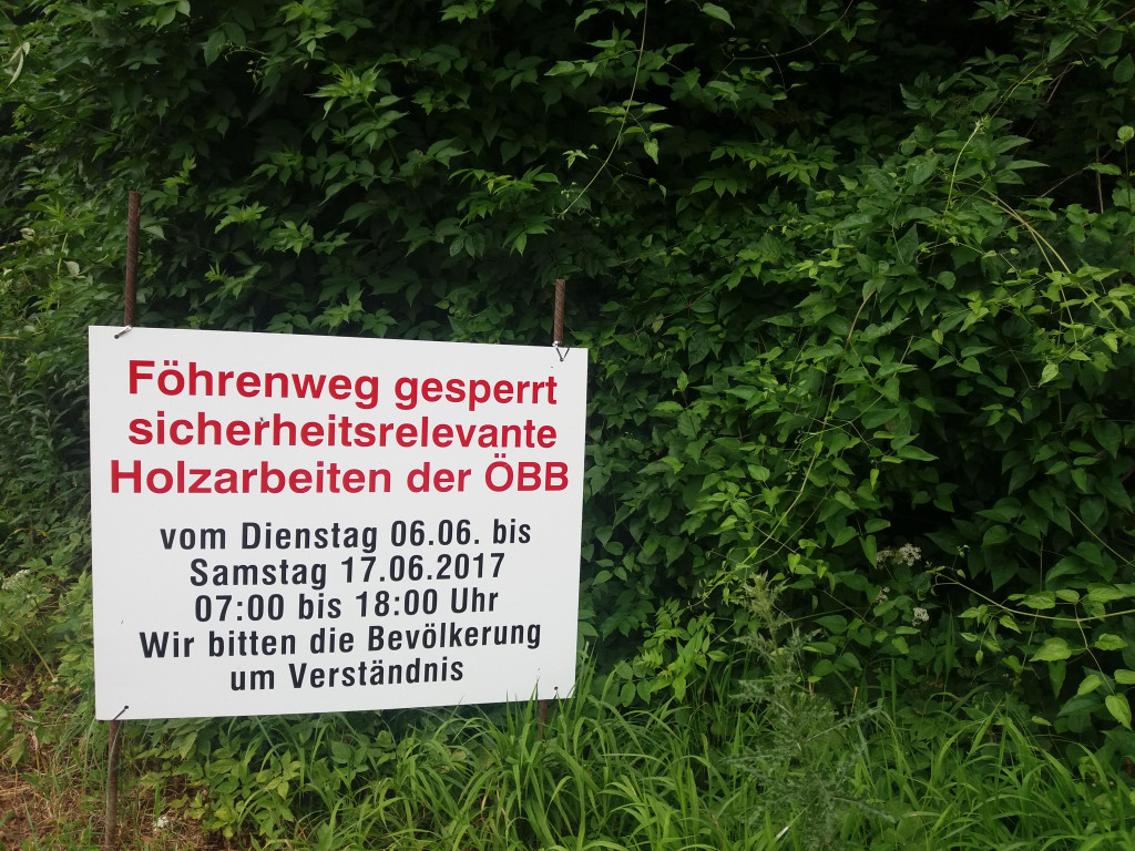 20170614_125835.jpg