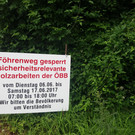 ÖBB-Holzschlägerungen am Föhrenweg 