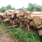 20170614_130915.jpg