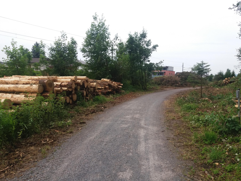 20170614_130646.jpg
