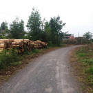 20170614_130646.jpg