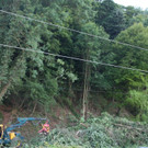 IMG_0039.JPG