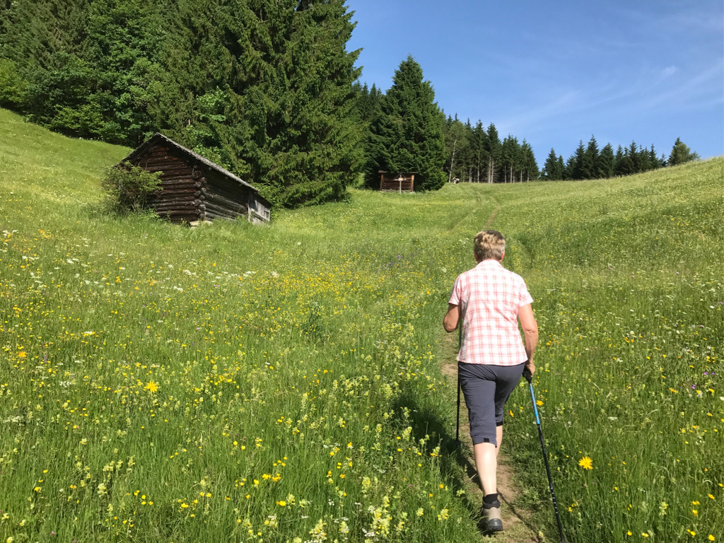 KOE_Wandertipp-Gurtisspitze-Sattelalpe 5.jpg