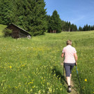 KOE_Wandertipp-Gurtisspitze-Sattelalpe 5.jpg