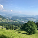 KOE_Wandertipp-Gurtisspitze-Sattelalpe 8.jpg