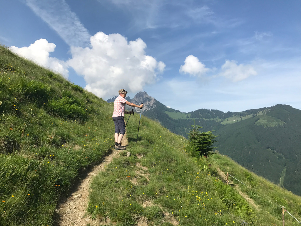 KOE_Wandertipp-Gurtisspitze-Sattelalpe 9.jpg