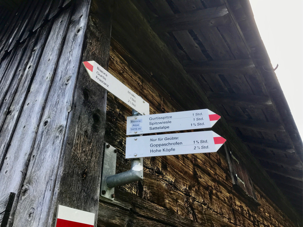 KOE_Wandertipp-Gurtisspitze-Sattelalpe 14.jpg