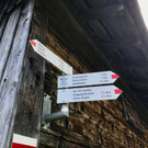 KOE_Wandertipp-Gurtisspitze-Sattelalpe 14.jpg