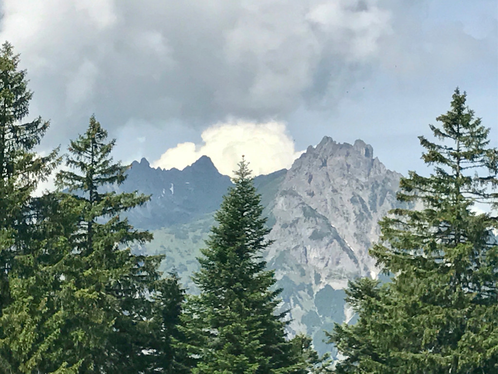 KOE_Wandertipp-Gurtisspitze-Sattelalpe 15.jpg