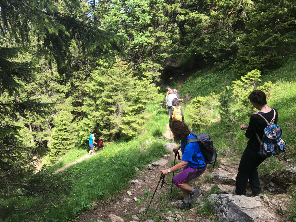 KOE_Wandertipp-Gurtisspitze-Sattelalpe 20.jpg