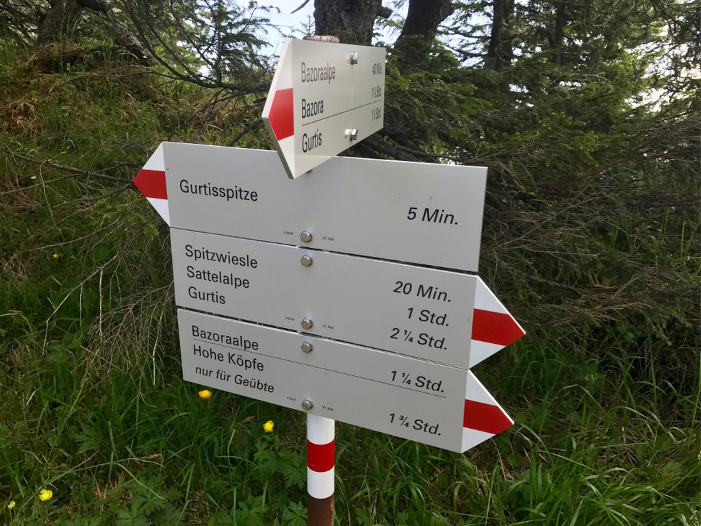 KOE_Wandertipp-Gurtisspitze-Sattelalpe 21.jpg