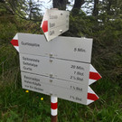 KOE_Wandertipp-Gurtisspitze-Sattelalpe 21.jpg