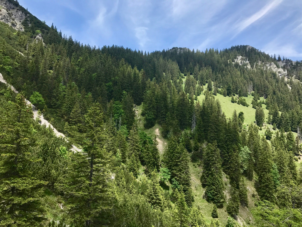 KOE_Wandertipp-Gurtisspitze-Sattelalpe 33.jpg