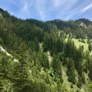 KOE_Wandertipp-Gurtisspitze-Sattelalpe 33.jpg