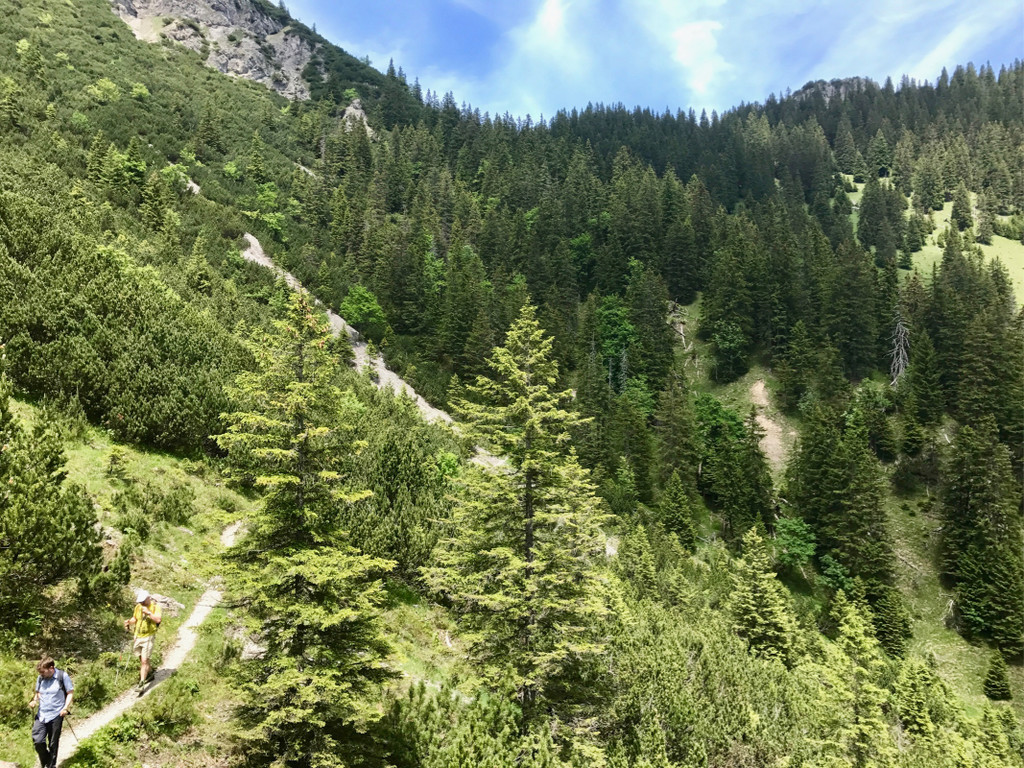KOE_Wandertipp-Gurtisspitze-Sattelalpe 34.jpg