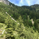 KOE_Wandertipp-Gurtisspitze-Sattelalpe 34.jpg