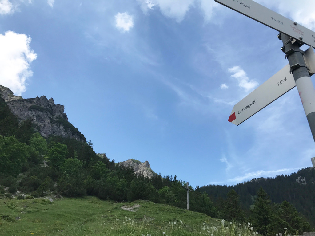 KOE_Wandertipp-Gurtisspitze-Sattelalpe 37.jpg