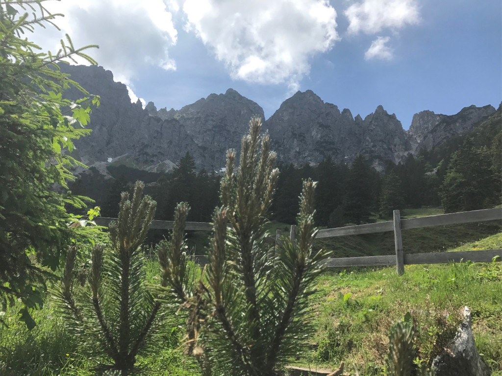 KOE_Wandertipp-Gurtisspitze-Sattelalpe 42.jpg
