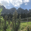 KOE_Wandertipp-Gurtisspitze-Sattelalpe 42.jpg