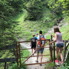 KOE_Wandertipp-Gurtisspitze-Sattelalpe 46.jpg