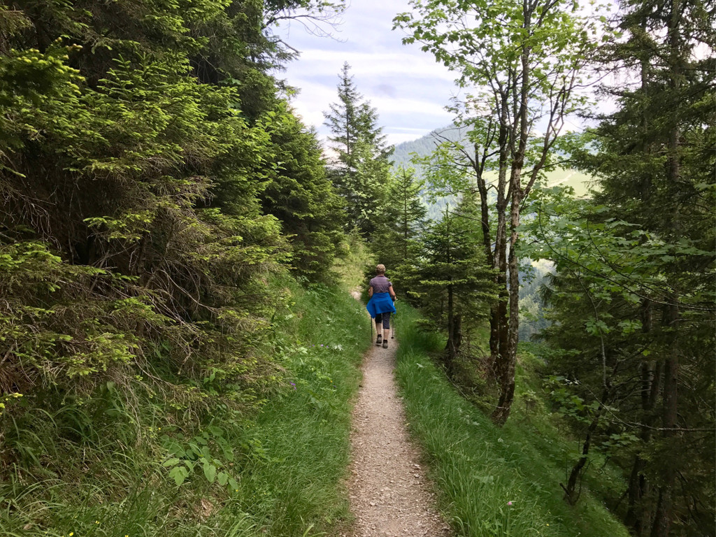 KOE_Wandertipp-Gurtisspitze-Sattelalpe 47.jpg