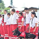 MEDIArt_1706_120967.jpg