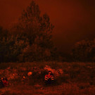 AFP_PN7KB.jpg