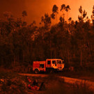 AFP_PN7KC.jpg